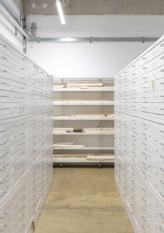 Archive shelving